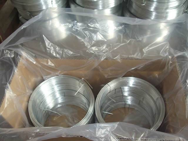 Two rolls of galvanized steel wires in the carton and packed with plastic film.
